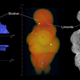 Imagen para el artículo titulado La ciencia revela el origen de la misteriosa Venus de Willendorf